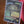 Gitrog Showcase PCG 9.5 Gem Mint in a Slim Player Slab next to deckbox - closeup