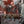 Kaalia - sample image