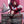 Kuja - sample image back