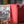 Lightning Borderless PCG 10 Gem Mint in a Slim Player Slab next to a red deckbox - front view