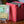 Muldrotha Borderless PCG 9 Mint in a Slim Player Slab next to a red deckbox - front view