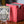 Nekusar Borderless PCG 10 Gem Mint in a Slim Player Slab - front view