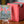 Niv-Mizzet Borderless PCG 9.5 Gem Mint in a Slim Player Slab - front view