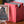 Raubahn Surge Foil PCG 9.5 Gem Mint in a Slim Player Slab - front view